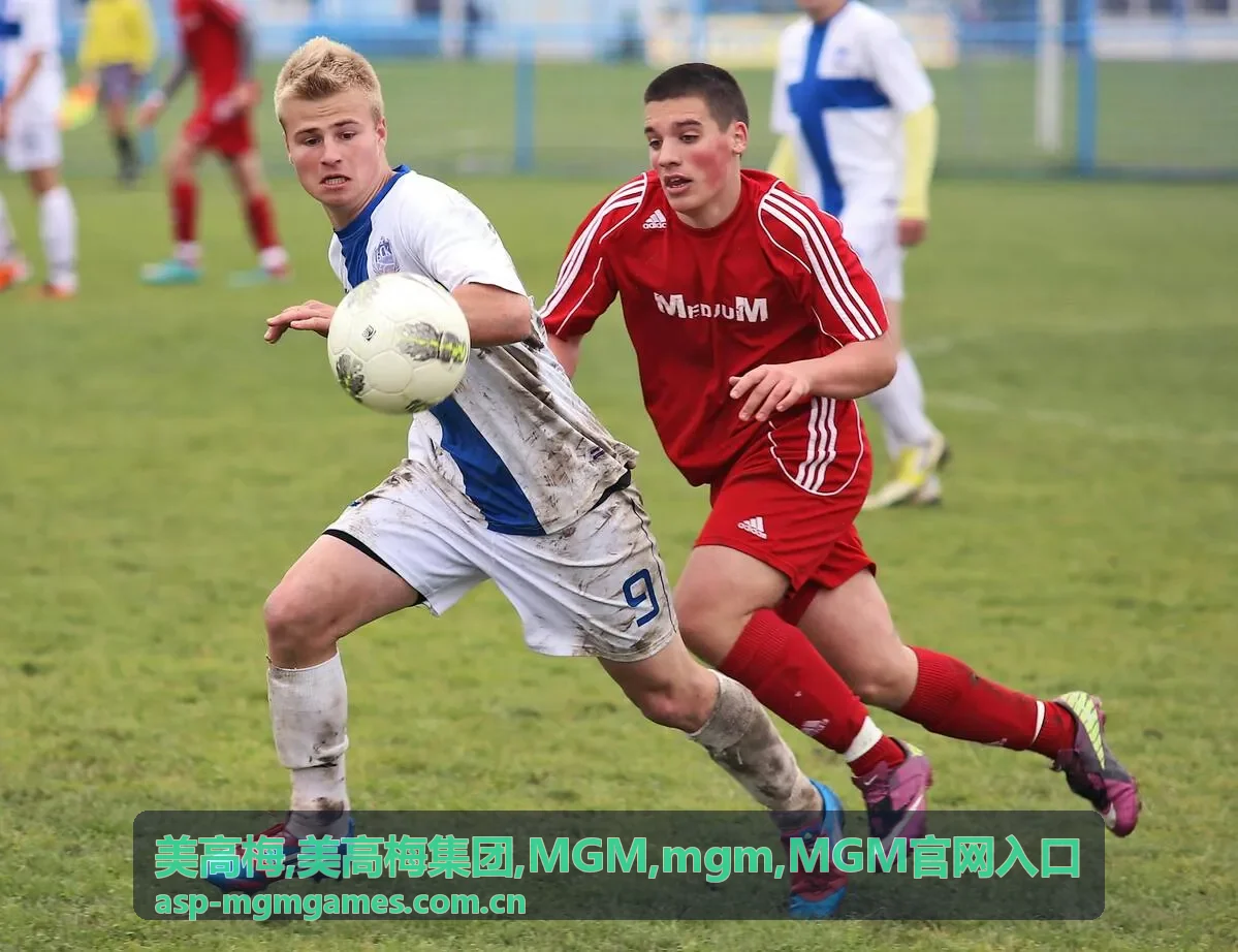 美高梅 MGM官网入口指引服务图