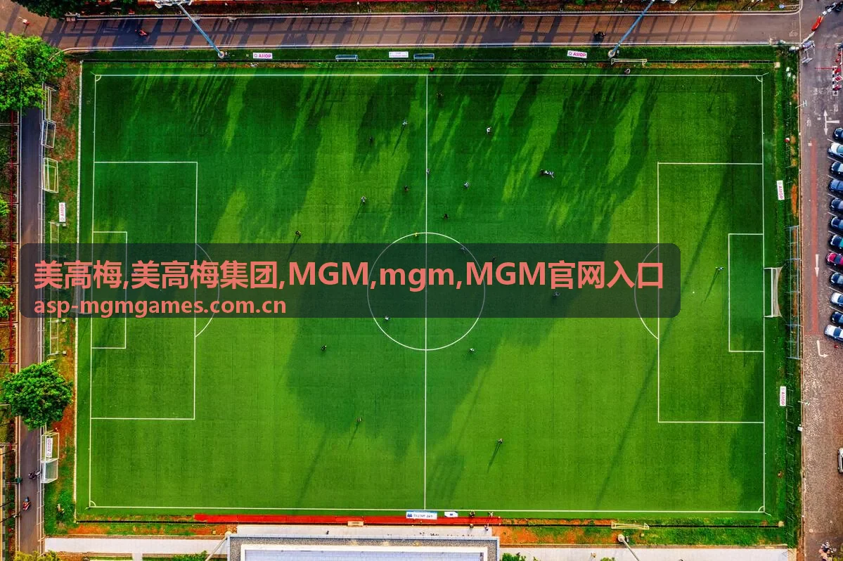 MGM mgm访问说明与安全提示